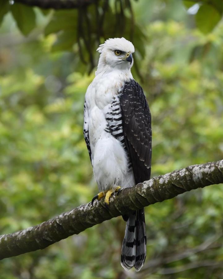 Granja Los Campesinos Monteverde 外观 照片