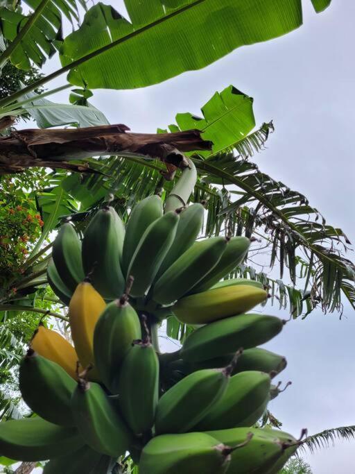 Granja Los Campesinos Monteverde 外观 照片