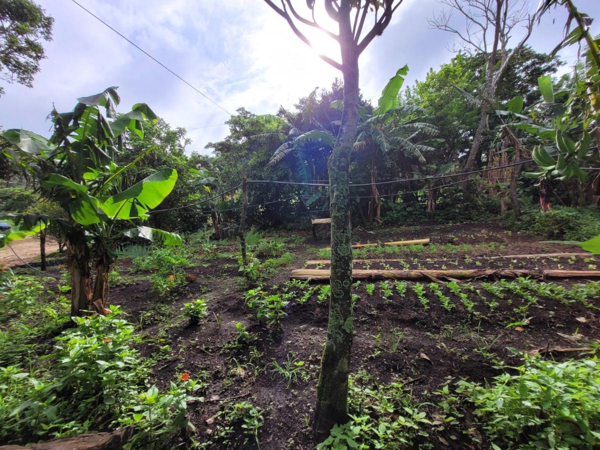 Granja Los Campesinos Monteverde 外观 照片