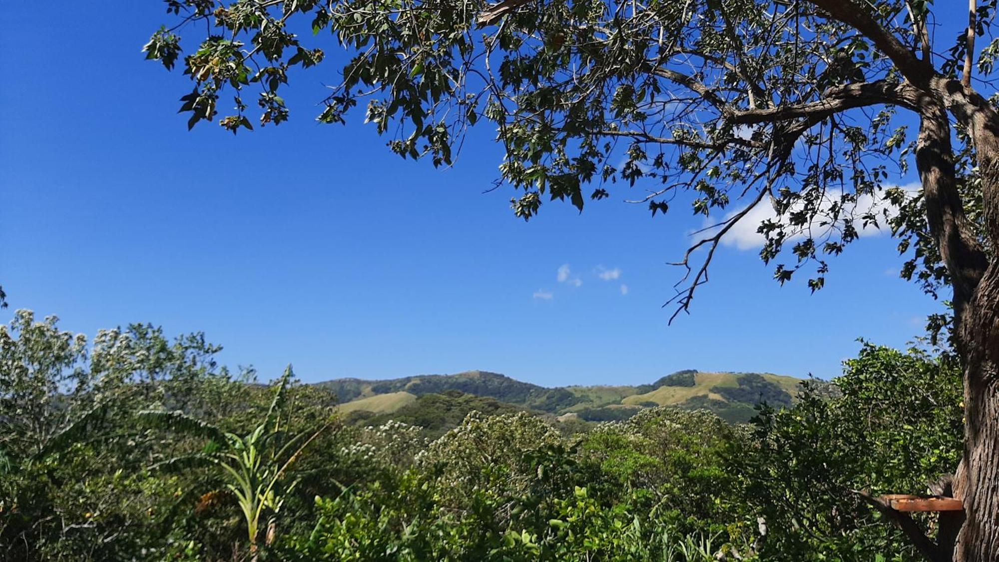 Granja Los Campesinos Monteverde 外观 照片
