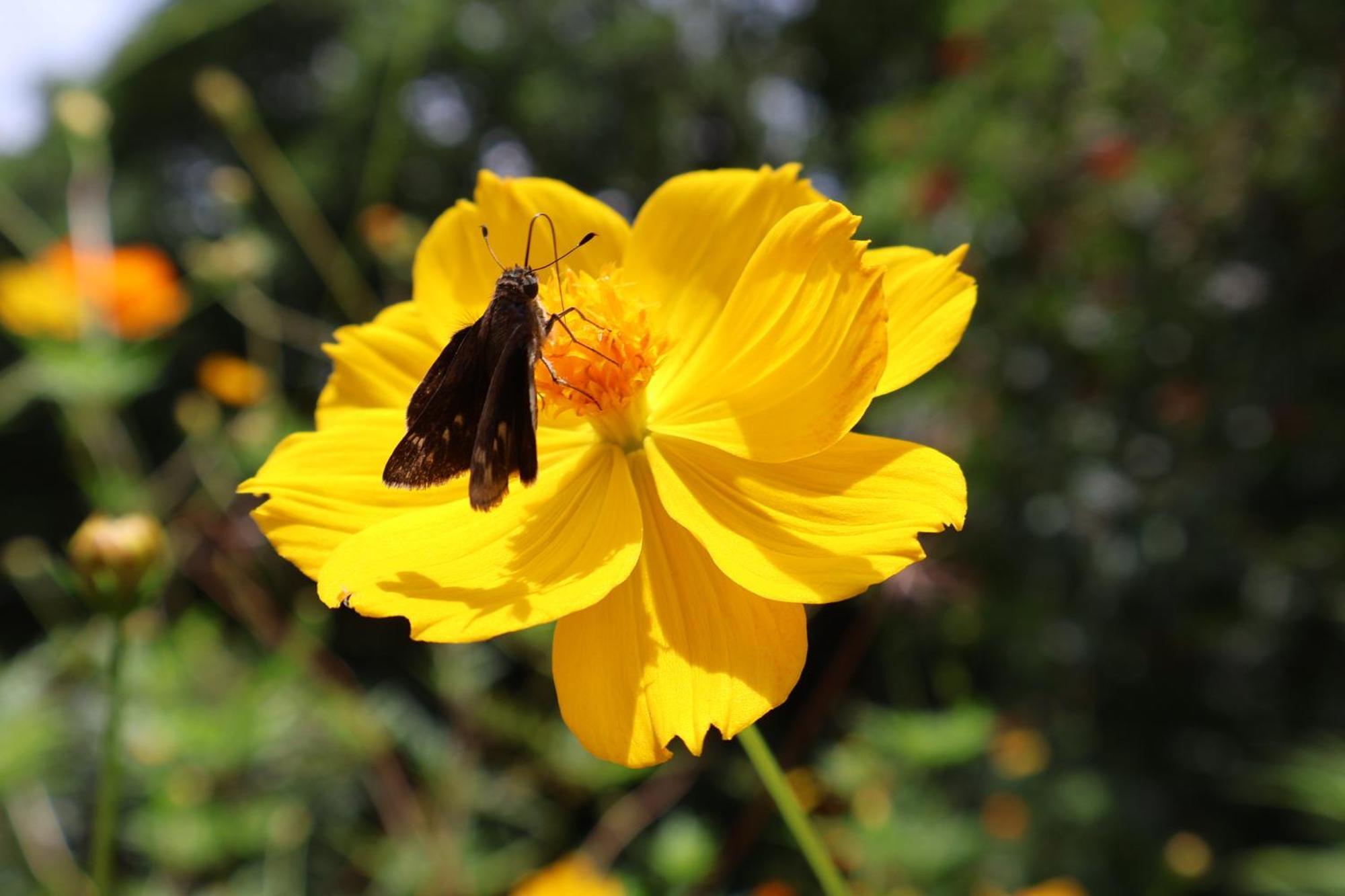 Granja Los Campesinos Monteverde 外观 照片