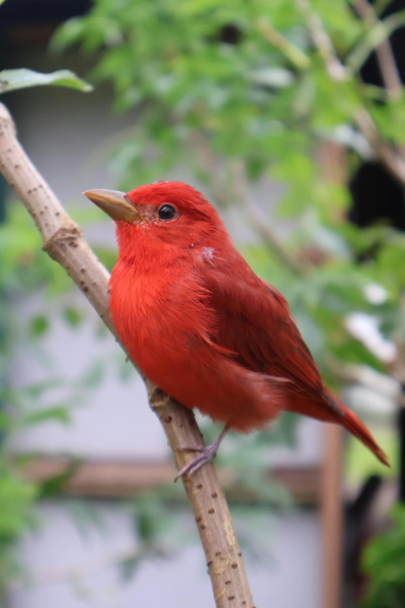 Granja Los Campesinos Monteverde 外观 照片